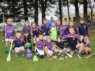U8's Hurling Blitz
