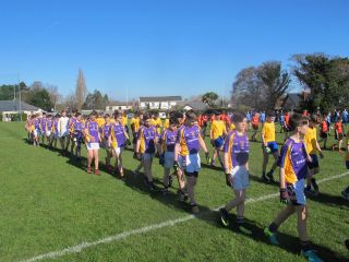 Féile Football - Photographs