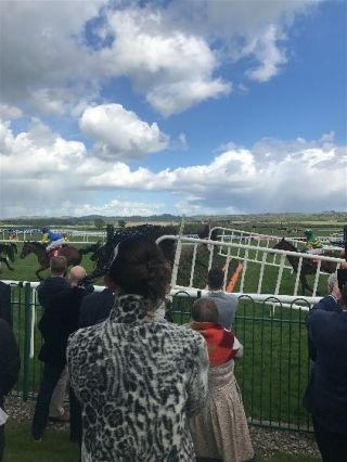 Punchestown 2017 - 15 years On