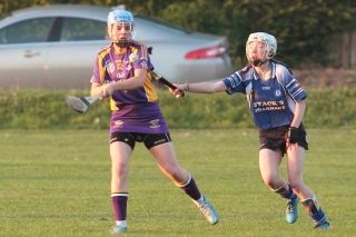 Senior 1 Camogie Team finish out league