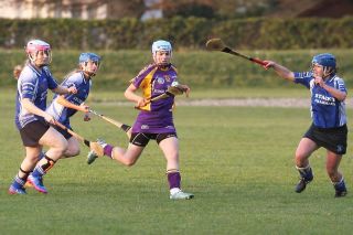 Senior 1 Camogie Team finish out league