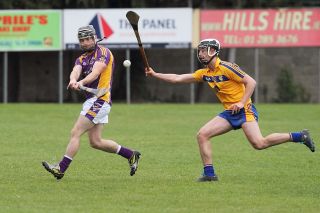 Mixed fortunes for Adult Hurling Championship Teams