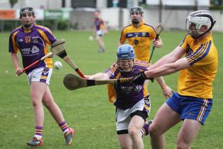 Mixed fortunes for Adult Hurling Championship Teams