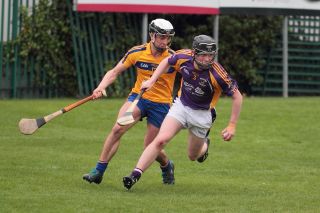 Mixed fortunes for Adult Hurling Championship Teams