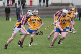Mixed fortunes for Adult Hurling Championship Teams