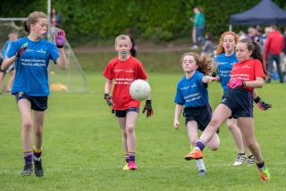Camogie and LF Mini All Ireland Finals
