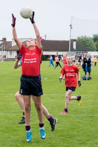 Camogie and LF Mini All Ireland Finals