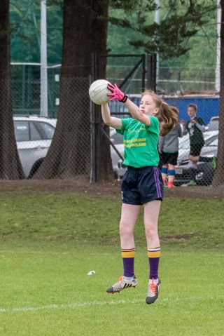 Camogie and LF Mini All Ireland Finals