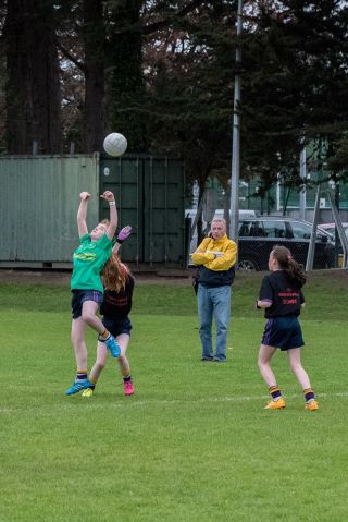 Camogie and LF Mini All Ireland Finals
