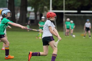 CAMOGIE AND Ladies Football MINI ALL IRELAND FINALS _ Continued