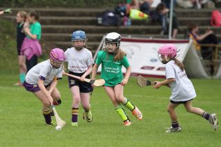 CAMOGIE AND Ladies Football MINI ALL IRELAND FINALS _ Continued