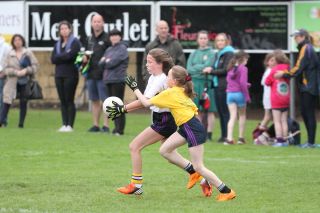 CAMOGIE AND Ladies Football MINI ALL IRELAND FINALS _ Continued