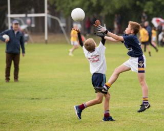More Mini All Ireland Shots