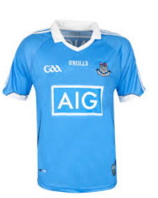 Dublin Under 17 Footballers into Leinster Semi  Final