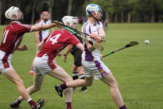 Senior B's beaten in Hurling Championship Quarter Final