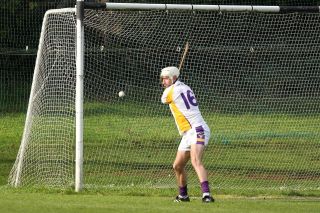 Another good win for Junior Hurlers in AHL 6