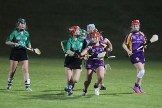 Ladies lose out to Lucan in Championship Final