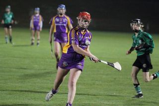 Ladies lose out to Lucan in Championship Final