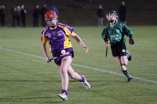 Ladies lose out to Lucan in Championship Final