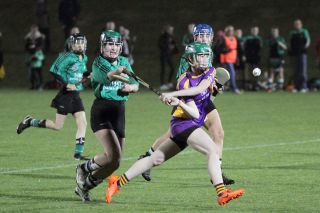 Ladies lose out to Lucan in Championship Final