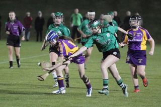 Ladies lose out to Lucan in Championship Final