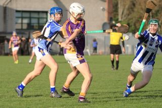 U16A Win County Championship