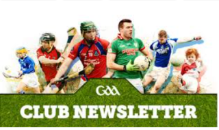 GAA Club Newsletter November 2017