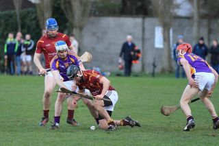Good start to Championship for Seniors