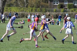 Hurling Féile Photos