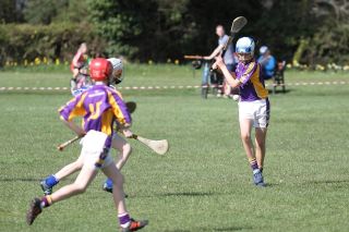 Hurling Féile Photos