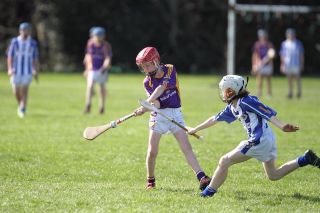Hurling Féile Photos