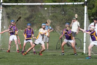 Hurling Féile Photos