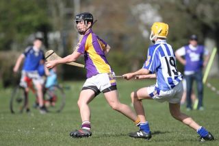 Hurling Féile Photos
