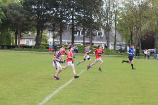 Feile Update