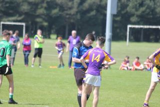 Feile Update