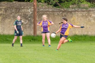 Photo's from Ladies Football Kilmacud Crokes B versus FoxCab League game
