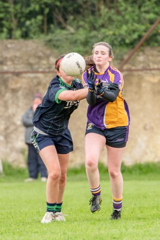 Photo's from Ladies Football Kilmacud Crokes B versus FoxCab League game