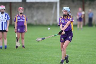 Very good performance for U16A camogie team