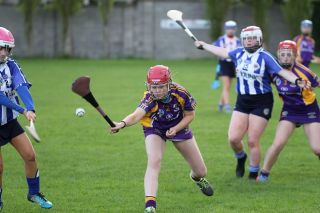 Very good performance for U16A camogie team