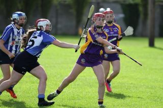 Very good performance for U16A camogie team