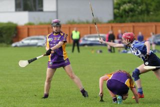 Very good performance for U16A camogie team