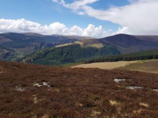Glendalough