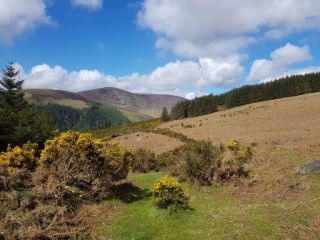 Glendalough