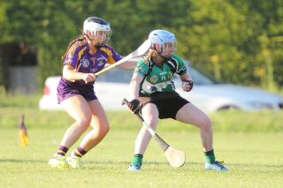 SeniorA Camogie team vs Erins Isle