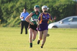 SeniorA Camogie team vs Erins Isle