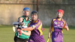 SeniorA Camogie team vs Erins Isle