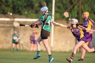 SeniorA Camogie team vs Erins Isle