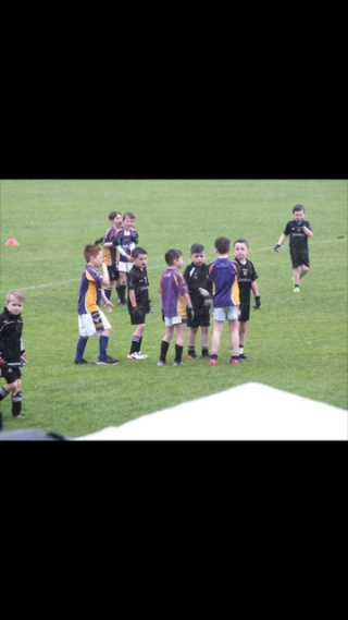  Under 8's Intercounty blitz  Sunday 27th May Parc De Burca
