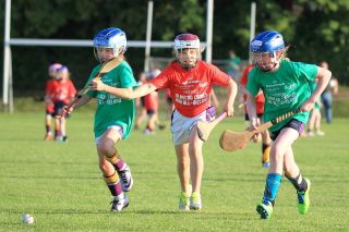 Photos from Mini All Ireland Camogie and Ladies Football Finals