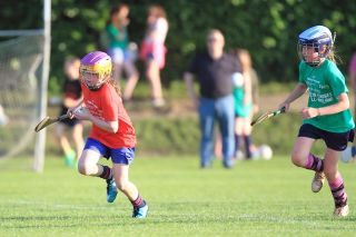 Photos from Mini All Ireland Camogie and Ladies Football Finals